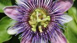 GEO Leserfoto: Die besten Leserfotos: Juli 2015 - Bild 2