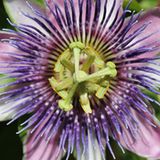 GEO Leserfoto: Die besten Leserfotos: Juli 2015 - Bild 2