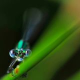 GEO Leserfoto: Die besten Leserfotos: Juli 2015 - Bild 5