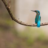 GEO Leserfoto: Die besten Leserfotos: Juli 2015 - Bild 8