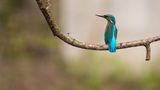 GEO Leserfoto: Die besten Leserfotos: Juli 2015 - Bild 8