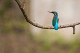 GEO Leserfoto: Die besten Leserfotos: Juli 2015 - Bild 8