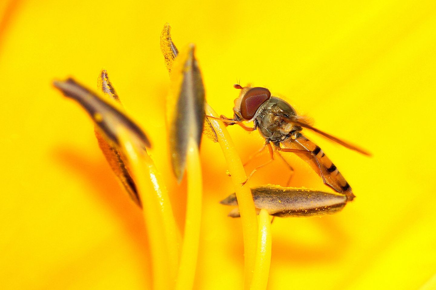 GEO Leserfoto: Die besten Leserfotos: Juli 2015 - Bild 10