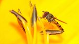 GEO Leserfoto: Die besten Leserfotos: Juli 2015 - Bild 10