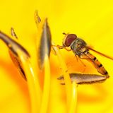 GEO Leserfoto: Die besten Leserfotos: Juli 2015 - Bild 10