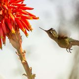 GEO Leserfoto: Die besten Leserfotos: Juli 2015 - Bild 12
