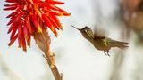 GEO Leserfoto: Die besten Leserfotos: Juli 2015 - Bild 12