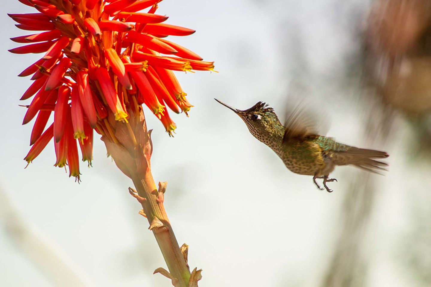 GEO Leserfoto: Die besten Leserfotos: Juli 2015 - Bild 12