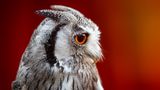 GEO Leserfoto: Die besten Leserfotos: Juli 2015 - Bild 14