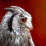 GEO Leserfoto: Die besten Leserfotos: Juli 2015 - Bild 14