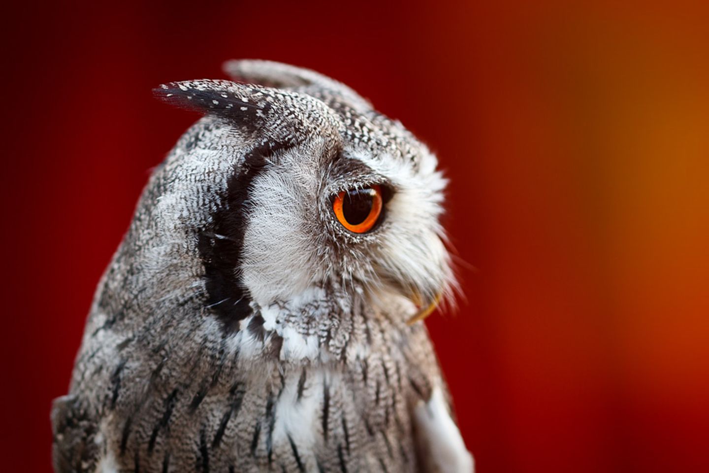 GEO Leserfoto: Die besten Leserfotos: Juli 2015 - Bild 14