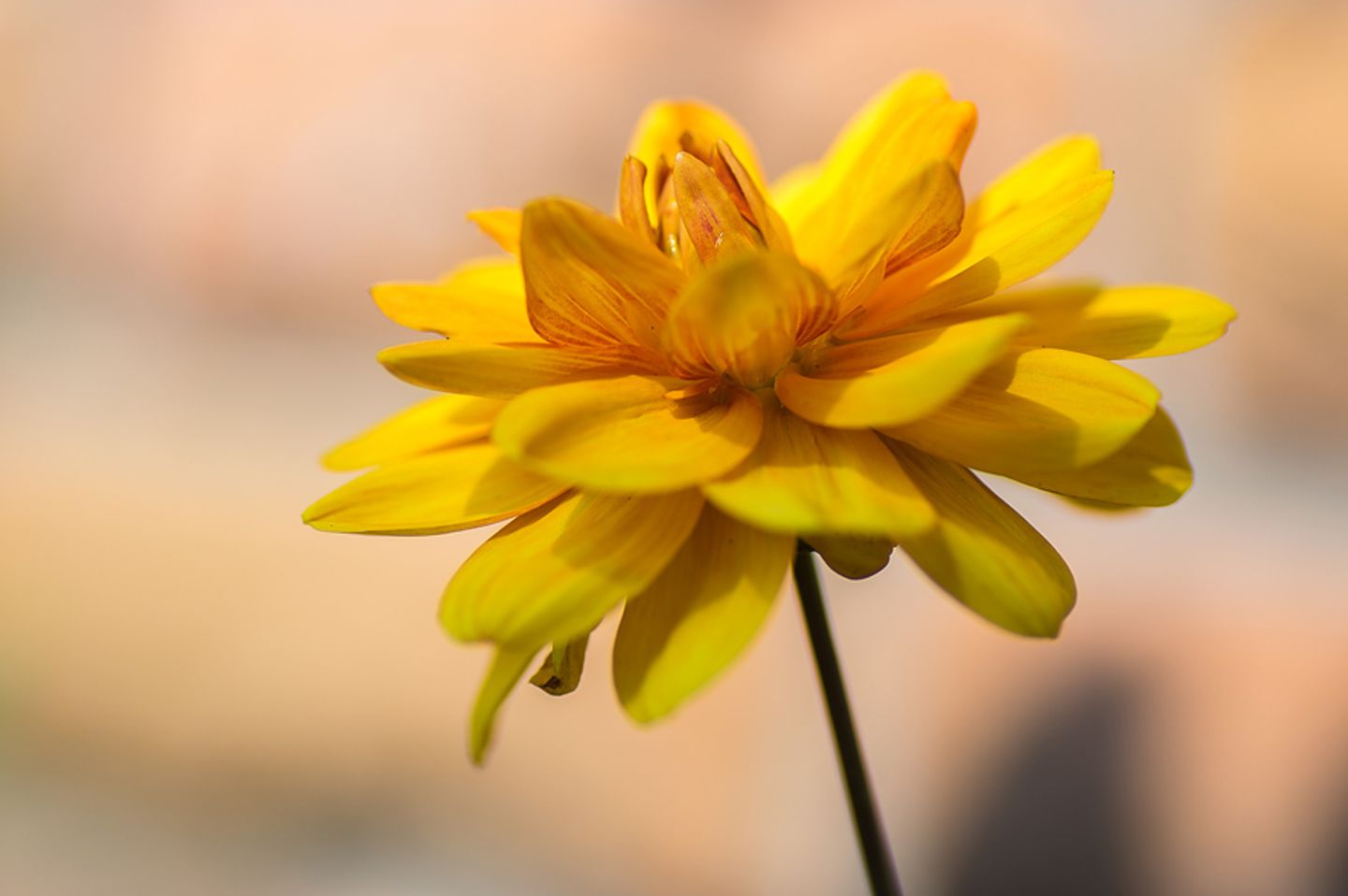 GEO Leserfoto: Die besten Leserfotos: Juli 2015 - Bild 16