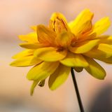 GEO Leserfoto: Die besten Leserfotos: Juli 2015 - Bild 16