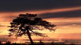 GEO Leserfoto: Die besten Leserfotos: Juli 2015 - Bild 19