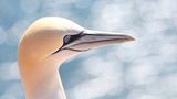 GEO Leserfoto: Die besten Leserfotos: Juli 2015 - Bild 20
