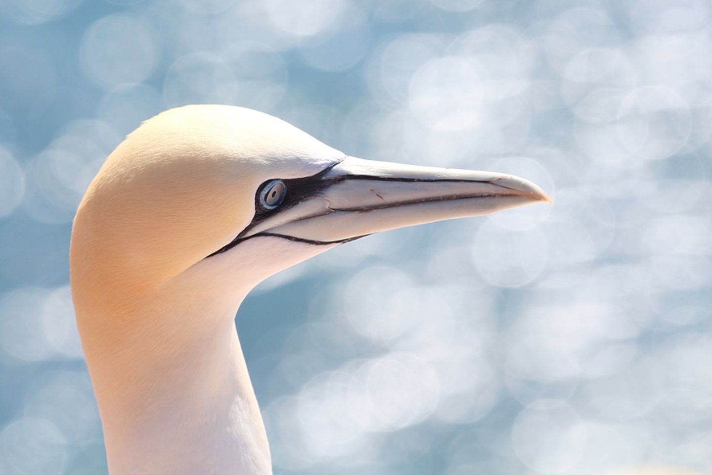 GEO Leserfoto: Die besten Leserfotos: Juli 2015 - Bild 20