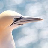 GEO Leserfoto: Die besten Leserfotos: Juli 2015 - Bild 20