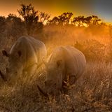 GEO Leserfoto: Die besten Leserfotos: Juli 2015 - Bild 21