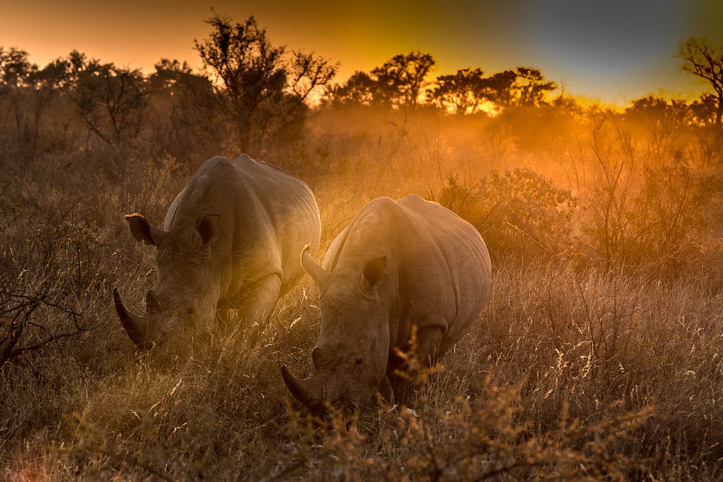 GEO Leserfoto: Die besten Leserfotos: Juli 2015 - Bild 21