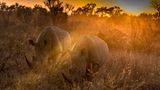 GEO Leserfoto: Die besten Leserfotos: Juli 2015 - Bild 21