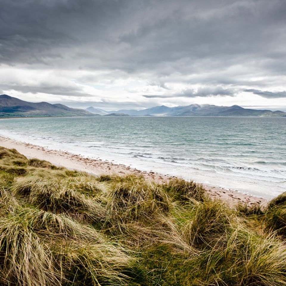 Dingle, Irland