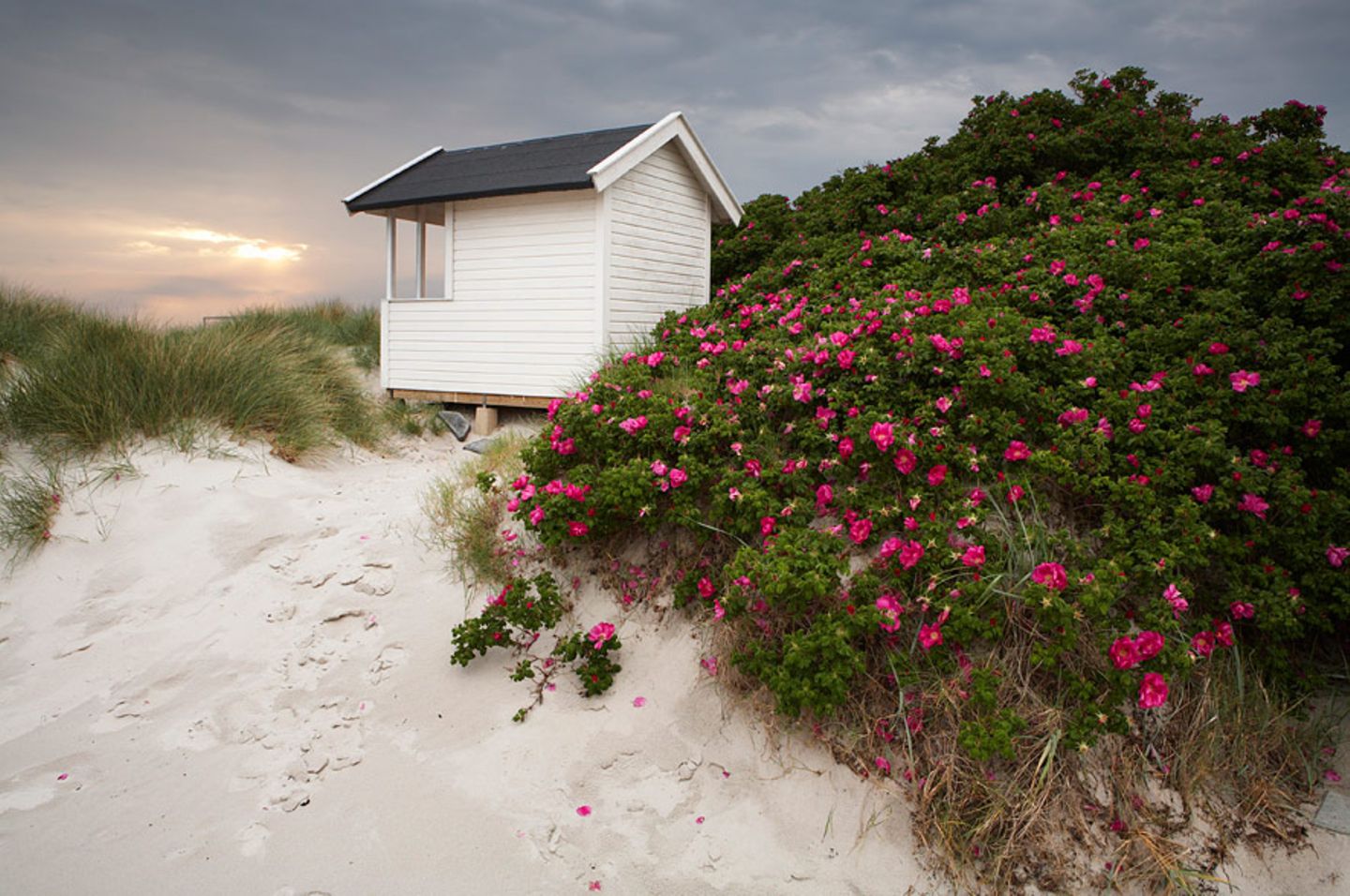 Falsterbo, Schweden