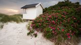Falsterbo, Schweden