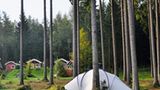 Cool Camping: Harz Camping, Schierke