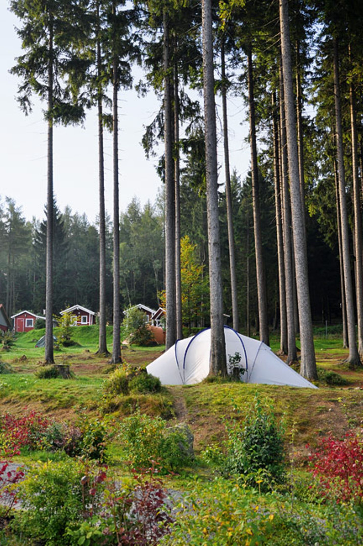 Cool Camping: Harz Camping, Schierke