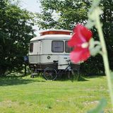 Cool Camping: Minicamping Kleingarn, Sulsdorf auf Fehmarn