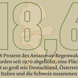 Vom Schwinden des Waldes