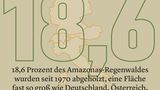 Vom Schwinden des Waldes