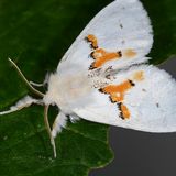 Der GEO-Schülerwettbewerb 2015: Platz 1