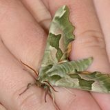 Der GEO-Schülerwettbewerb 2015: Platz 1