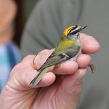 Der GEO-Schülerwettbewerb 2015: Platz 1