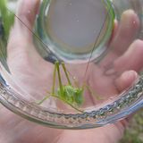 Der GEO-Schülerwettbewerb 2015: Platz 2