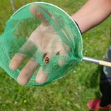 Der GEO-Schülerwettbewerb 2015: Platz 2