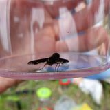 Der GEO-Schülerwettbewerb 2015: Platz 2