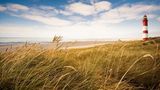 Amrum: Sonnenbaden und Wattwandern