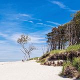 Darß: Wildromantischer Weststrand