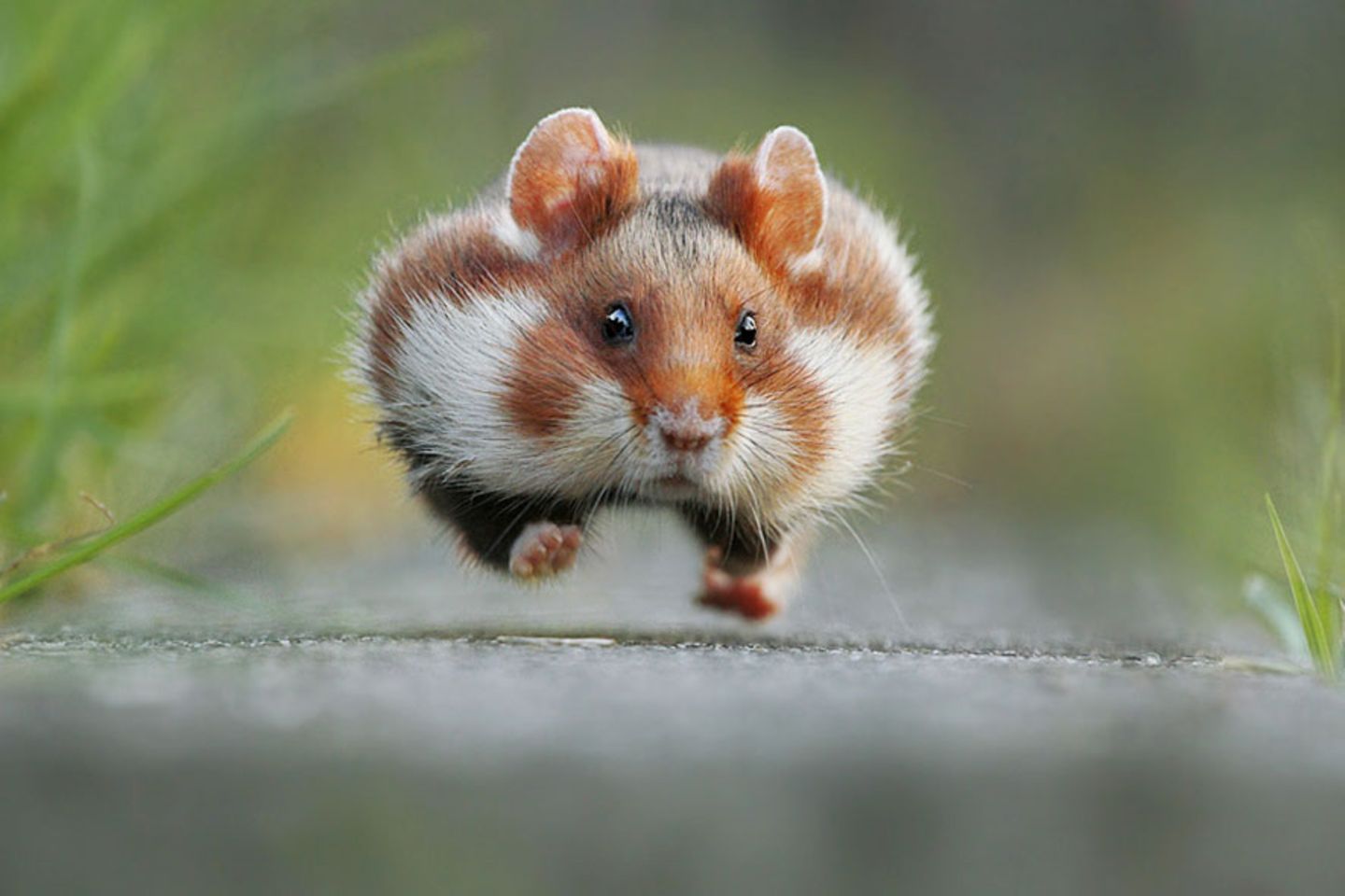 GEO Leserfoto: Die besten Leserfotos: August 2015 - Bild 3 GEO Leserfoto: Die besten Leserfotos: August 2015 - Bild 3