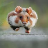 GEO Leserfoto: Die besten Leserfotos: August 2015 - Bild 3