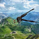 GEO Leserfoto: Die besten Leserfotos: August 2015 - Bild 4