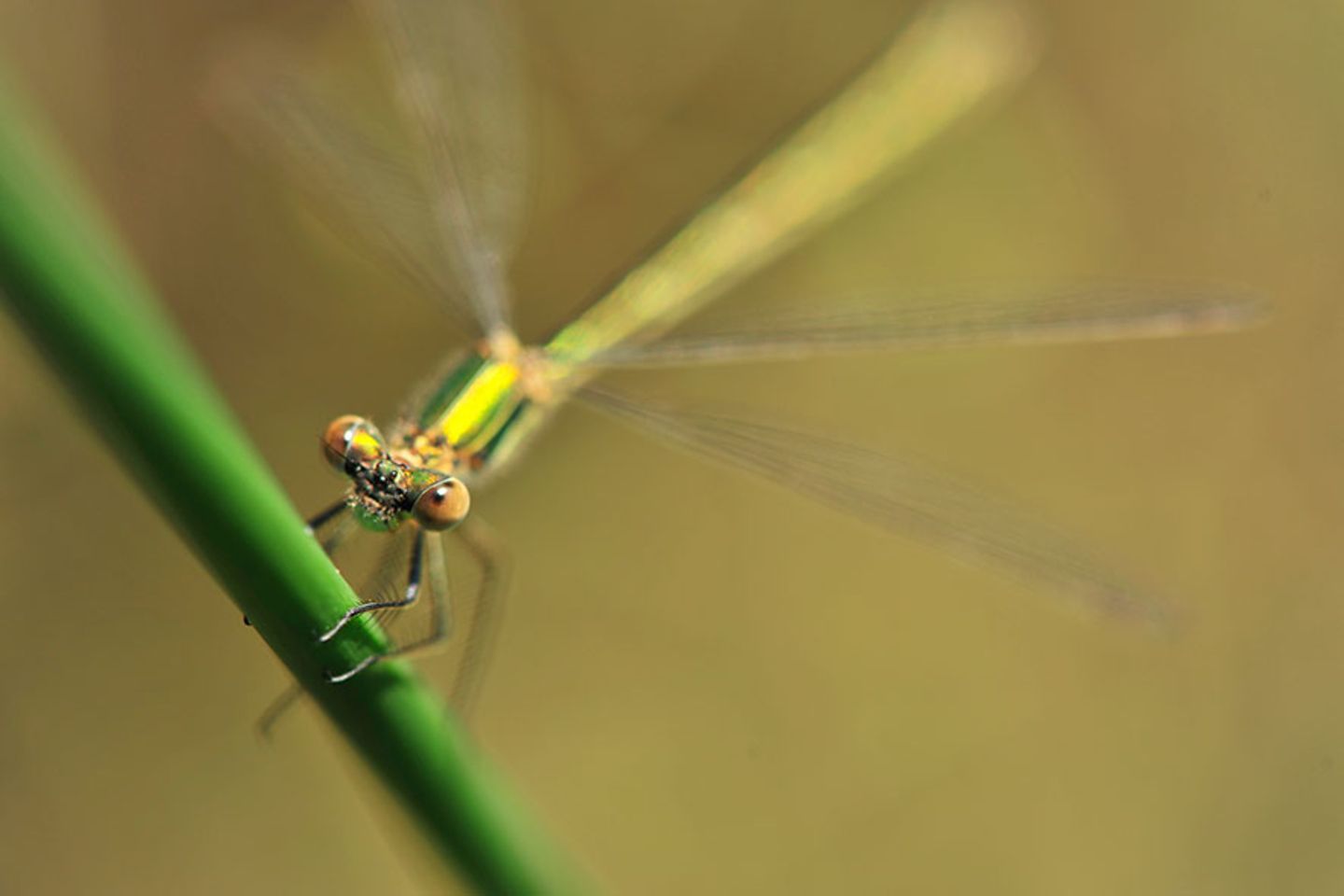 GEO Leserfoto: Die besten Leserfotos: August 2015 - Bild 5