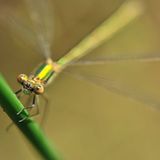 GEO Leserfoto: Die besten Leserfotos: August 2015 - Bild 5