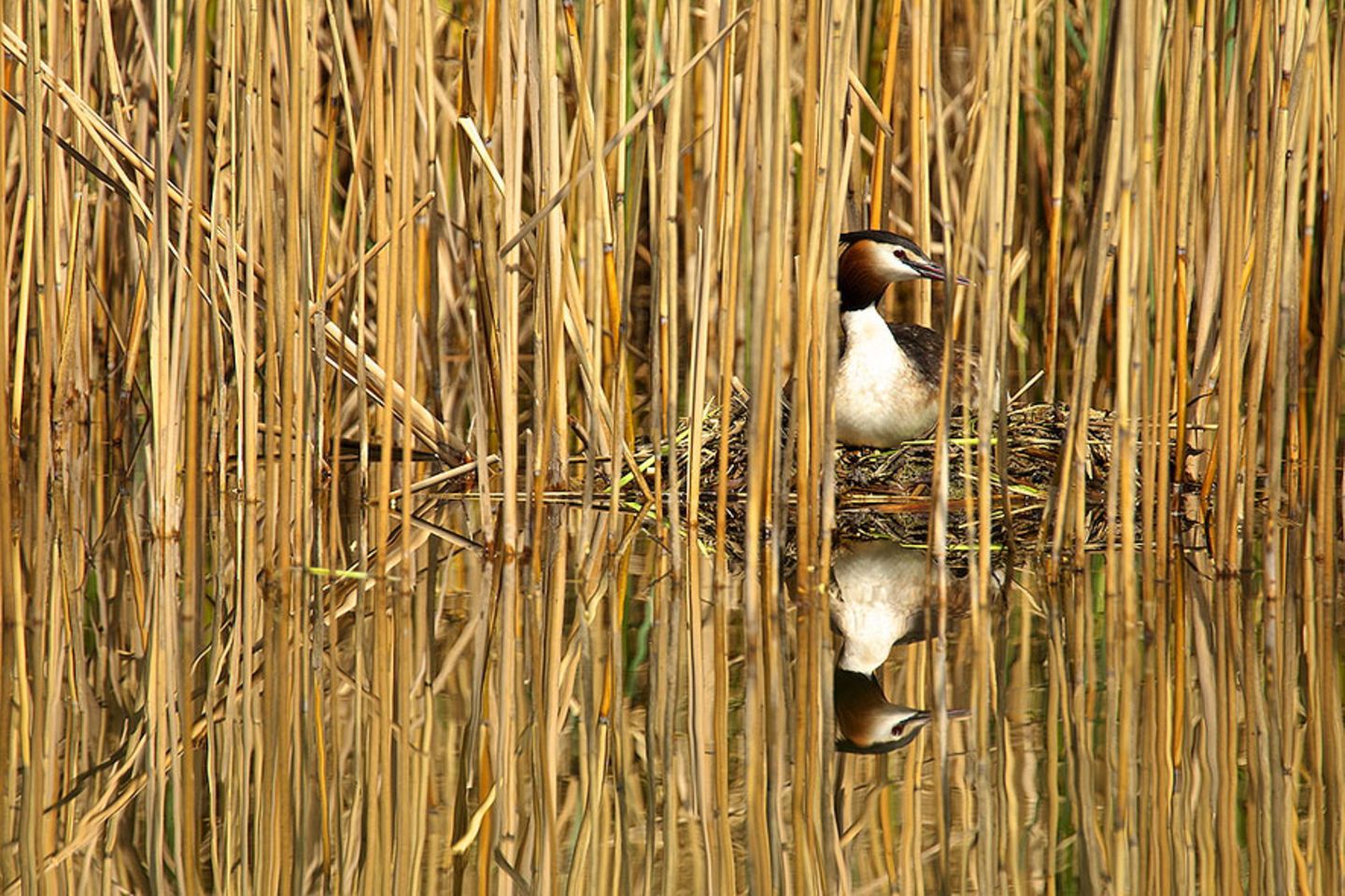 GEO Leserfoto: Die besten Leserfotos: August 2015 - Bild 6