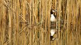 GEO Leserfoto: Die besten Leserfotos: August 2015 - Bild 6