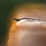 GEO Leserfoto: Die besten Leserfotos: August 2015 - Bild 8