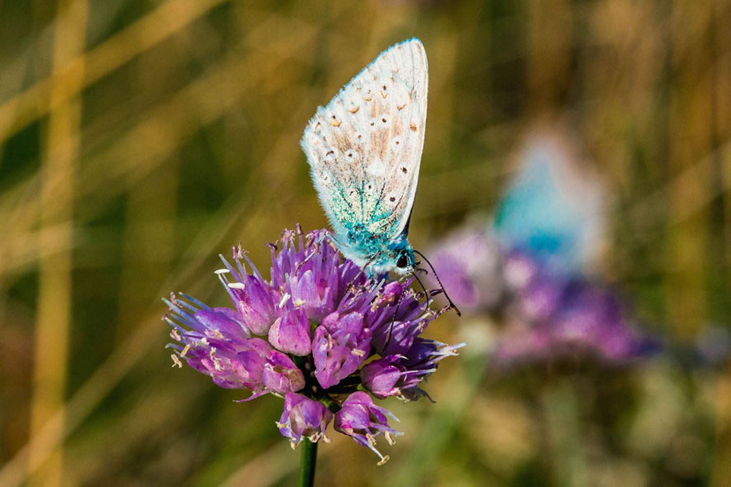 GEO Leserfoto: Die besten Leserfotos: August 2015 - Bild 10