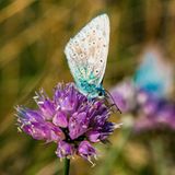 GEO Leserfoto: Die besten Leserfotos: August 2015 - Bild 10